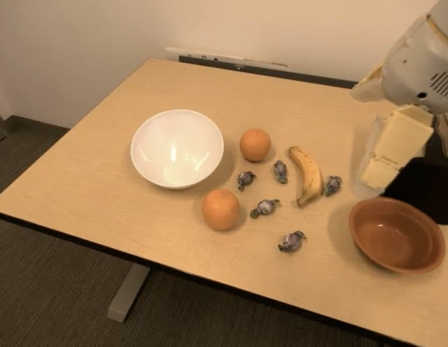 RoboVQA embodied scene